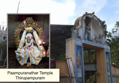 Journey to Thirupampuram Paampuranathar Temple – A Pilgrim’s Diary