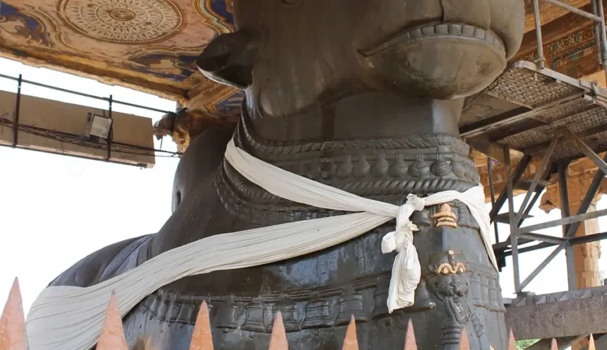 nandi in brihadeeswarar temple