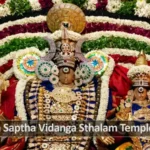 Saptha Vidanga Sthalas