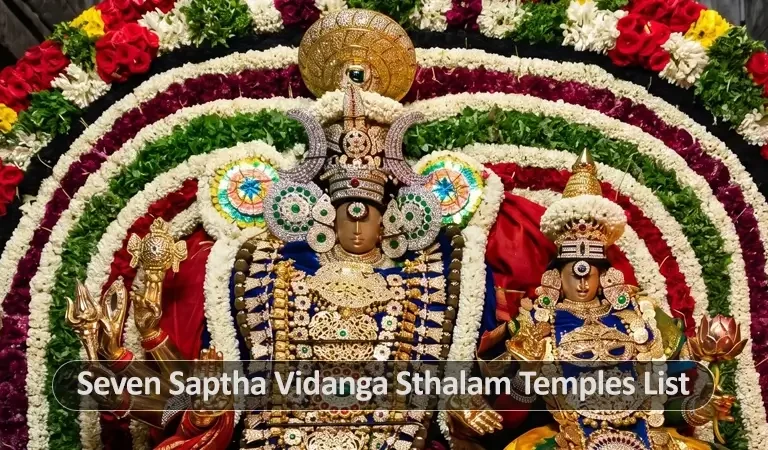 Saptha Vidanga Sthalas